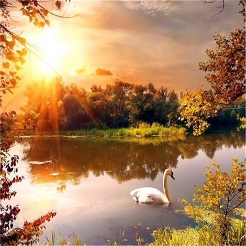 200 Teile Puzzle für Erwachsene mit Sonnenuntergang am Schwanensee Puzzles, EIN Herausforderndes Rätsel, 200 Puzzles für Die Ganze Familie, DIY Kunst Puzzle Home Dekoration Geschenke 200 Teile Puzzle für Erwachsene mit Sonnenuntergang am Schwanensee Puzzles, EIN Herausforderndes Rätsel, 200 Puzzles für Die Ganze Familie, DIY Kunst Puzzle Home Dekoration Geschenke von Yeecer