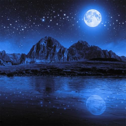 300 Teile Puzzle für Erwachsene mit Blaue Nachtlandschaft Puzzles, EIN Herausforderndes Rätsel, 300 Puzzles für Die Ganze Familie, DIY Kunst Puzzle Home Dekoration Geschenke 300 Teile Puzzle für Erwachsene mit Blaue Nachtlandschaft Puzzles, EIN Herausforderndes Rätsel, 300 Puzzles für Die Ganze Familie, DIY Kunst Puzzle Home Dekoration Geschenke von Yeecer