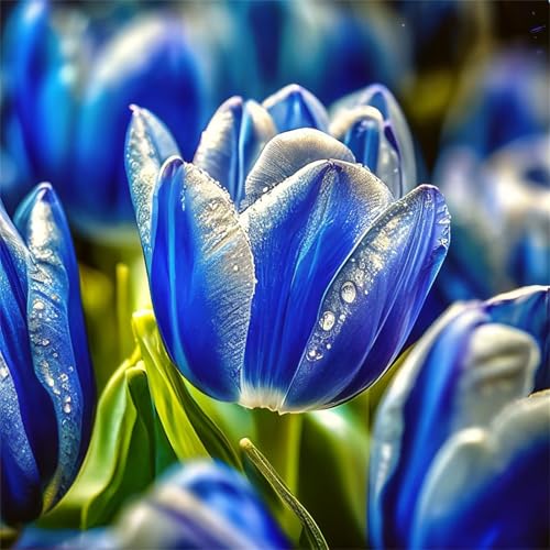 300 Teile Puzzle für Erwachsene mit Blaue Tulpen Blumen Puzzles, EIN Herausforderndes Rätsel,Puzzles für Die Ganze Familie,300 DIY Kunst Puzzle Home Dekoration Geschenke 300 Teile Puzzle für Erwachsene mit Blaue Tulpen Blumen Puzzles, EIN Herausforderndes Rätsel,Puzzles für Die Ganze Familie,300 DIY Kunst Puzzle Home Dekoration Geschenke von Yeecer