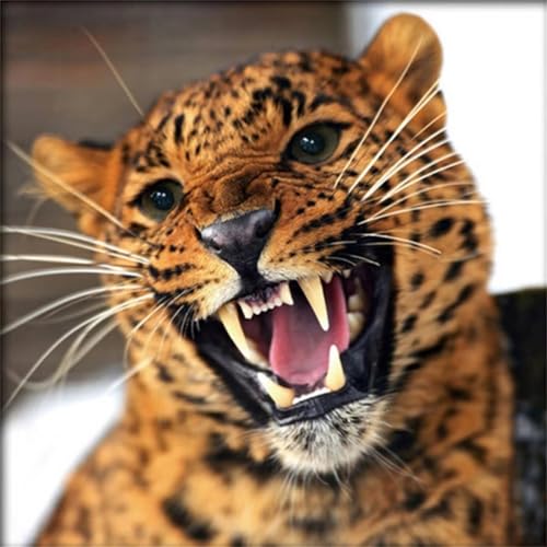 500 Teile Puzzle für Erwachsene mit Leopard Puzzles, EIN Herausforderndes Rätsel, 500 Puzzles für Die Ganze Familie, DIY Kunst Puzzle Home Dekoration Geschenke 500 Teile Puzzle für Erwachsene mit Leopard Puzzles, EIN Herausforderndes Rätsel, 500 Puzzles für Die Ganze Familie, DIY Kunst Puzzle Home Dekoration Geschenke von Yeecer