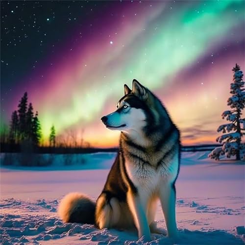 Puzzles 1000 Teile Erwachsene,65x65cm Holzpuzzle, Puzzle für Erwachsenes Lernspiel Herausforderung Spielzeug 1000 Teile Bunter Aurora-Hund Puzzles für Erwachsene Kinder Puzzles 1000 Teile Erwachsene,65x65cm Holzpuzzle, Puzzle für Erwachsenes Lernspiel Herausforderung Spielzeug 1000 Teile Bunter Aurora-Hund Puzzles für Erwachsene Kinder von Yeecer