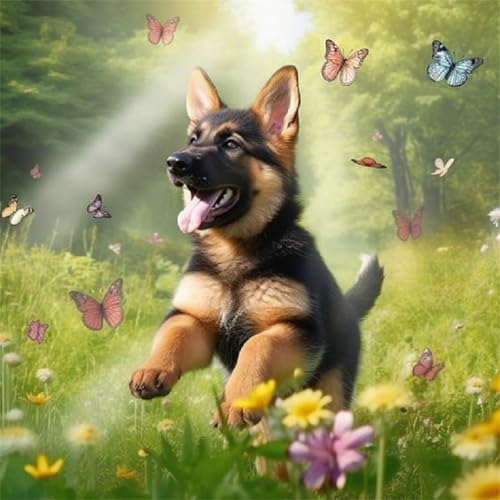 Puzzles 1000 Teile Erwachsene,65x65cm Holzpuzzle, Puzzle für Erwachsenes Lernspiel Herausforderung Spielzeug 1000 Teile Graslandhund-Schmetterling Puzzles für Erwachsene Kinder Puzzles 1000 Teile Erwachsene,65x65cm Holzpuzzle, Puzzle für Erwachsenes Lernspiel Herausforderung Spielzeug 1000 Teile Graslandhund-Schmetterling Puzzles für Erwachsene Kinder von Yeecer