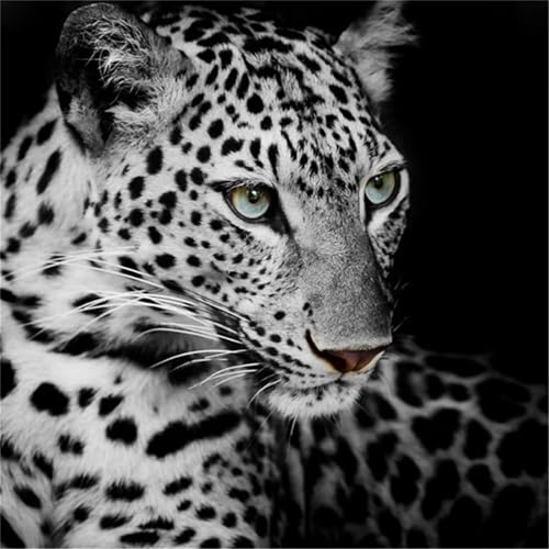Puzzles 1000 Teile Erwachsene,65x65cm Holzpuzzle, Puzzle für Erwachsenes Lernspiel Herausforderung Spielzeug 1000 Teile Leopard Puzzles für Erwachsene Kinder von Yeecer