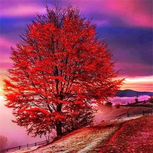 Puzzles 1000 Teile Erwachsene,65x65cm Holzpuzzle, Puzzle für Erwachsenes Lernspiel Herausforderung Spielzeug 1000 Teile Rote Baumlandschaft Puzzles für Erwachsene Kinder Puzzles 1000 Teile Erwachsene,65x65cm Holzpuzzle, Puzzle für Erwachsenes Lernspiel Herausforderung Spielzeug 1000 Teile Rote Baumlandschaft Puzzles für Erwachsene Kinder von Yeecer