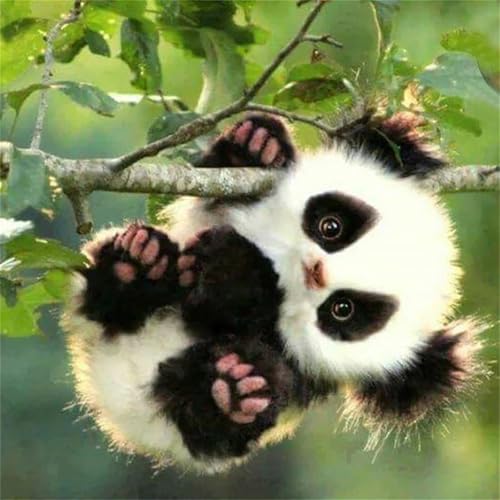 Puzzles 1000 Teile Erwachsene,65x65cm Holzpuzzle, Puzzle für Erwachsenes Lernspiel Herausforderung Spielzeug 1000 Teile Süßer Panda Puzzles für Erwachsene Kinder Puzzles 1000 Teile Erwachsene,65x65cm Holzpuzzle, Puzzle für Erwachsenes Lernspiel Herausforderung Spielzeug 1000 Teile Süßer Panda Puzzles für Erwachsene Kinder von Yeecer