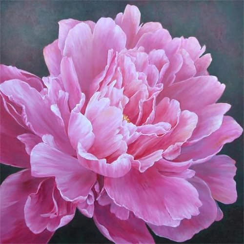 Puzzles 1000 Teile Erwachsene,69x69cm Holzpuzzle, Puzzle für Erwachsenes Lernspiel Herausforderung Spielzeug 1000 Teile Rosa Pfingstrosenblüten Puzzles für Erwachsene Kinder von Yeecer