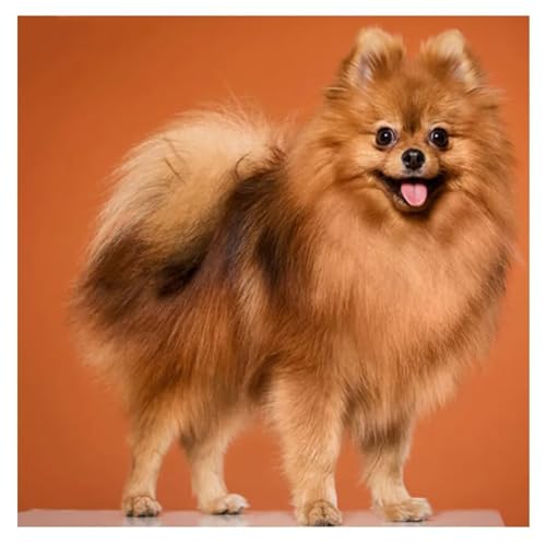 Puzzles 120 Teile Erwachsene,20x20cm Holzpuzzle, Puzzle für Erwachsenes Lernspiel Herausforderung Spielzeug 120 Teile Brauner süßer Hund Puzzles für Erwachsene Kinder Puzzles 120 Teile Erwachsene,20x20cm Holzpuzzle, Puzzle für Erwachsenes Lernspiel Herausforderung Spielzeug 120 Teile Brauner süßer Hund Puzzles für Erwachsene Kinder von Yeecer