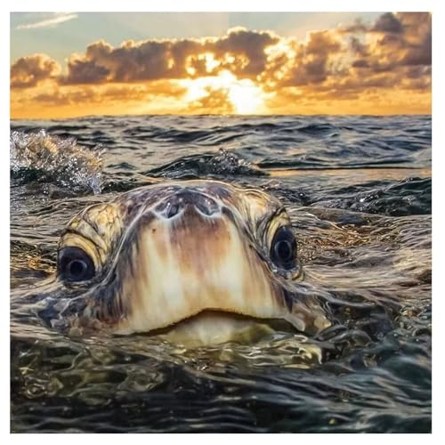 Puzzles 200 Teile Erwachsene,28x28cm Holzpuzzle, Puzzle für Erwachsenes Lernspiel Herausforderung Spielzeug 200 Teile Schildkrötenmeer Puzzles für Erwachsene Kinder von Yeecer