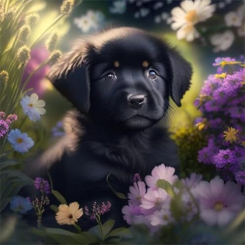 Puzzles 200 Teile Erwachsene,28x28cm Holzpuzzle, Puzzle für Erwachsenes Lernspiel Herausforderung Spielzeug 200 Teile Schwarze Hundeblume Puzzles für Erwachsene Kinder Puzzles 200 Teile Erwachsene,28x28cm Holzpuzzle, Puzzle für Erwachsenes Lernspiel Herausforderung Spielzeug 200 Teile Schwarze Hundeblume Puzzles für Erwachsene Kinder von Yeecer