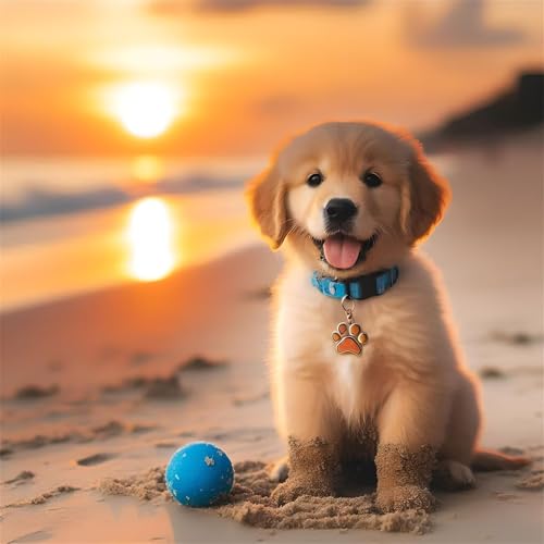Puzzles 200 Teile Erwachsene,28x28cm Holzpuzzle, Puzzle für Erwachsenes Lernspiel Herausforderung Spielzeug 200 Teile Strand Labrador Hund Puzzles für Erwachsene Kinder Puzzles 200 Teile Erwachsene,28x28cm Holzpuzzle, Puzzle für Erwachsenes Lernspiel Herausforderung Spielzeug 200 Teile Strand Labrador Hund Puzzles für Erwachsene Kinder von Yeecer