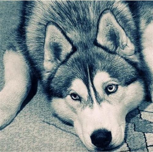 Puzzles 200 Teile Erwachsene,31x31cm Holzpuzzle, Puzzle für Erwachsenes Lernspiel Herausforderung Spielzeug 200 Teile Husky-Hund Puzzles für Erwachsene Kinder Puzzles 200 Teile Erwachsene,31x31cm Holzpuzzle, Puzzle für Erwachsenes Lernspiel Herausforderung Spielzeug 200 Teile Husky-Hund Puzzles für Erwachsene Kinder von Yeecer