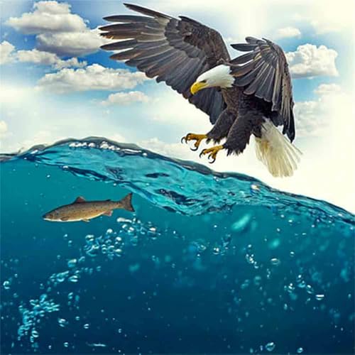 Puzzles 300 Teile Erwachsene,35x35cm Holzpuzzle, Puzzle für Erwachsenes Lernspiel Herausforderung Spielzeug 300 Teile Adler-Seelandschaft Puzzles für Erwachsene Kinder Puzzles 300 Teile Erwachsene,35x35cm Holzpuzzle, Puzzle für Erwachsenes Lernspiel Herausforderung Spielzeug 300 Teile Adler-Seelandschaft Puzzles für Erwachsene Kinder von Yeecer