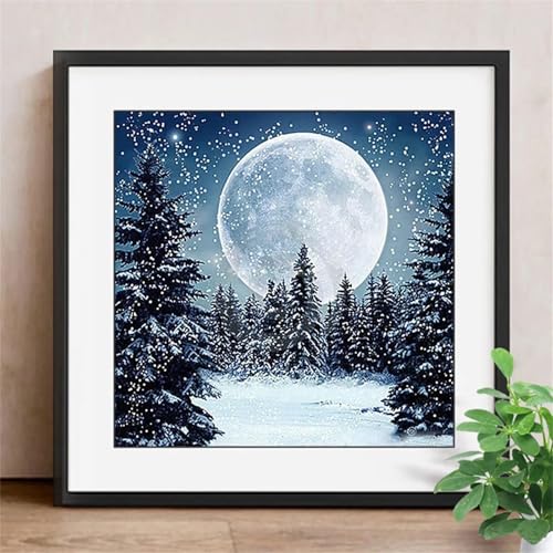 Puzzles 300 Teile Erwachsene,35x35cm Holzpuzzle, Puzzle für Erwachsenes Lernspiel Herausforderung Spielzeug 300 Teile Schneelandschaft Winter Puzzles für Erwachsene Kinder Puzzles 300 Teile Erwachsene,35x35cm Holzpuzzle, Puzzle für Erwachsenes Lernspiel Herausforderung Spielzeug 300 Teile Schneelandschaft Winter Puzzles für Erwachsene Kinder von Yeecer