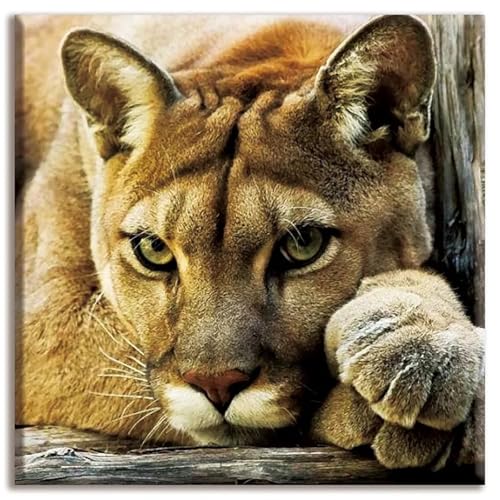 Puzzles 300 Teile Erwachsene,38x38cm Holzpuzzle, Puzzle für Erwachsenes Lernspiel Herausforderung Spielzeug 300 Teile Hundetiere Puzzles für Erwachsene Kinder von Yeecer