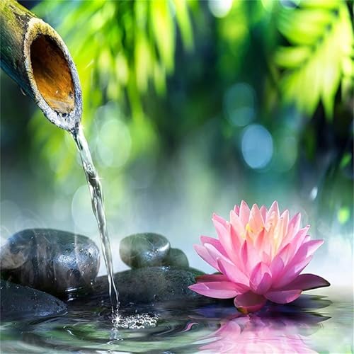 Puzzles 300 Teile Erwachsene,38x38cm Holzpuzzle, Puzzle für Erwachsenes Lernspiel Herausforderung Spielzeug 300 Teile Lotus Zen Puzzles für Erwachsene Kinder Puzzles 300 Teile Erwachsene,38x38cm Holzpuzzle, Puzzle für Erwachsenes Lernspiel Herausforderung Spielzeug 300 Teile Lotus Zen Puzzles für Erwachsene Kinder von Yeecer