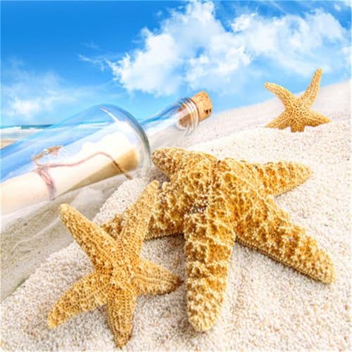 Puzzles 300 Teile Erwachsene,38x38cm Holzpuzzle, Puzzle für Erwachsenes Lernspiel Herausforderung Spielzeug 300 Teile Seestern-Flasche Puzzles für Erwachsene Kinder Puzzles 300 Teile Erwachsene,38x38cm Holzpuzzle, Puzzle für Erwachsenes Lernspiel Herausforderung Spielzeug 300 Teile Seestern-Flasche Puzzles für Erwachsene Kinder von Yeecer