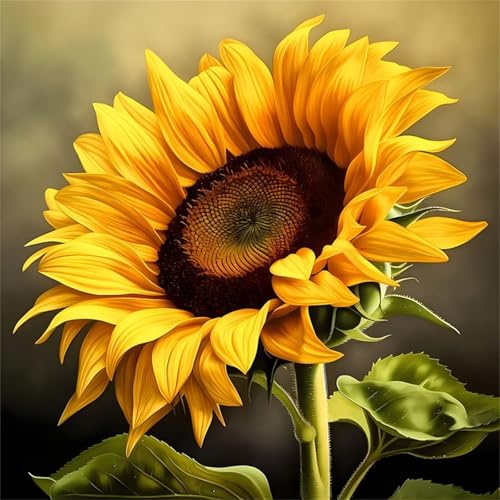 Puzzles 300 Teile Erwachsene,38x38cm Holzpuzzle, Puzzle für Erwachsenes Lernspiel Herausforderung Spielzeug 300 Teile Sonnenblume Puzzles für Erwachsene Kinder Puzzles 300 Teile Erwachsene,38x38cm Holzpuzzle, Puzzle für Erwachsenes Lernspiel Herausforderung Spielzeug 300 Teile Sonnenblume Puzzles für Erwachsene Kinder von Yeecer