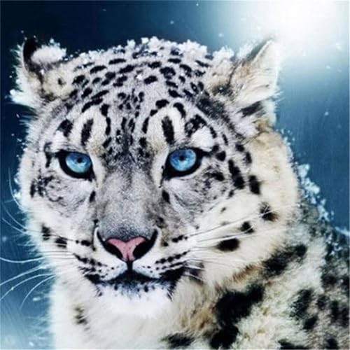 Puzzles 300 Teile Erwachsene,38x38cm Holzpuzzle, Puzzle für Erwachsenes Lernspiel Herausforderung Spielzeug 300 Teile Winterleopard Puzzles für Erwachsene Kinder Puzzles 300 Teile Erwachsene,38x38cm Holzpuzzle, Puzzle für Erwachsenes Lernspiel Herausforderung Spielzeug 300 Teile Winterleopard Puzzles für Erwachsene Kinder von Yeecer