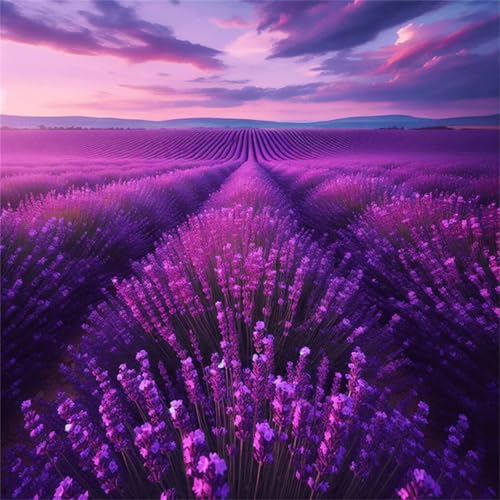 Puzzles 500 Teile Erwachsene,45x45 cm Lernspiel Herausforderung Spielzeug 500 Teile Lavendelfelder Landschaft Puzzles für Erwachsene von Yeecer