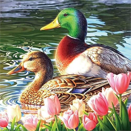 Puzzles 500 Teile Erwachsene,45x45cm Holzpuzzle, Puzzle für Erwachsenes Lernspiel Herausforderung Spielzeug 500 Teile Enten Seeufer Blumen Puzzles für Erwachsene Kinder Puzzles 500 Teile Erwachsene,45x45cm Holzpuzzle, Puzzle für Erwachsenes Lernspiel Herausforderung Spielzeug 500 Teile Enten Seeufer Blumen Puzzles für Erwachsene Kinder von Yeecer