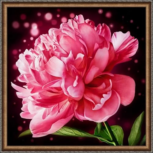 Puzzles 500 Teile Erwachsene,48x48cm Holzpuzzle, Puzzle für Erwachsenes Lernspiel Herausforderung Spielzeug 500 Teile Rote Pfingstrose Puzzles für Erwachsene Kinder Puzzles 500 Teile Erwachsene,48x48cm Holzpuzzle, Puzzle für Erwachsenes Lernspiel Herausforderung Spielzeug 500 Teile Rote Pfingstrose Puzzles für Erwachsene Kinder von Yeecer