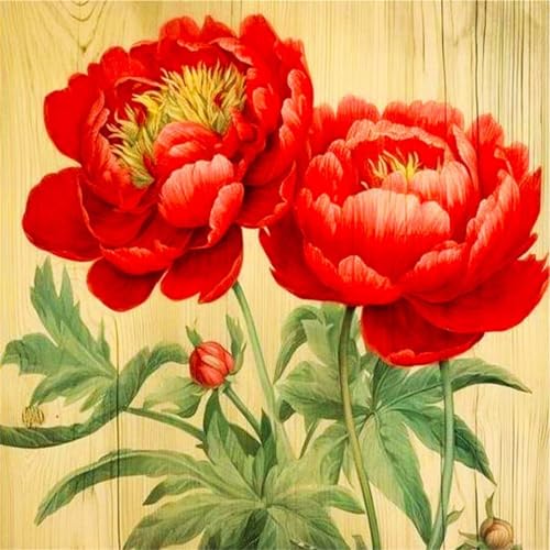 Puzzles 500 Teile Erwachsene,48x48cm Holzpuzzle, Puzzle für Erwachsenes Lernspiel Herausforderung Spielzeug 500 Teile Rote Pfingstrosen Blumen Puzzles für Erwachsene Kinder Puzzles 500 Teile Erwachsene,48x48cm Holzpuzzle, Puzzle für Erwachsenes Lernspiel Herausforderung Spielzeug 500 Teile Rote Pfingstrosen Blumen Puzzles für Erwachsene Kinder von Yeecer
