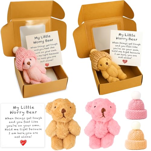 YenMzx Sorgenbär, Sorgenbär in einer Box, 2 Stück (braun und rosa), kleine schöne Wo-rry Bären, kleine personalisierte Bären in einer Box, positives Geschenk für Freunde/Kindergeburtstage und von YenMzx