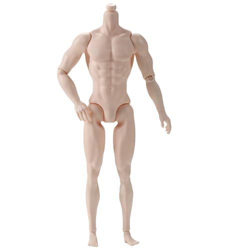 Yeory 1/6 Maßstab Action -Abbildung, 6 Multi -Gelenk -Bewegungsmännchen -Muskel -Aktion -Figurenkörper für Displaysammlung, Beige, leer Yeory 1/6 Maßstab Action -Abbildung, 6 Multi -Gelenk -Bewegungsmännchen -Muskel -Aktion -Figurenkörper für Displaysammlung, Beige, leer von Yeory