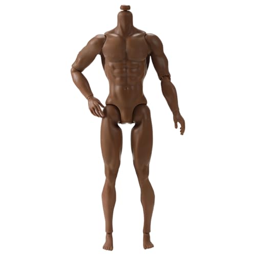 Yeory 1/6 Skala -Aktions -Abbildung, 6 Multi -Gelenk -bewegliche männliche muskulöse Wirkungsfigur für Displaysammlung, braun, leer Yeory 1/6 Skala -Aktions -Abbildung, 6 Multi -Gelenk -bewegliche männliche muskulöse Wirkungsfigur für Displaysammlung, braun, leer von Yeory