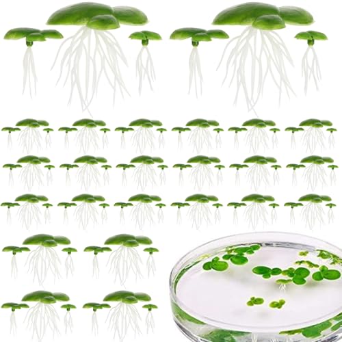 Yeory 72pcs Duckweed, plastische gefälschte Teichpflanzen mit Blättern und Wurzeln, schwimmende Aquarienpflanzen, lebensschwimmende für Aquarium oder Teich Yeory 72pcs Duckweed, plastische gefälschte Teichpflanzen mit Blättern und Wurzeln, schwimmende Aquarienpflanzen, lebensschwimmende für Aquarium oder Teich von Yeory