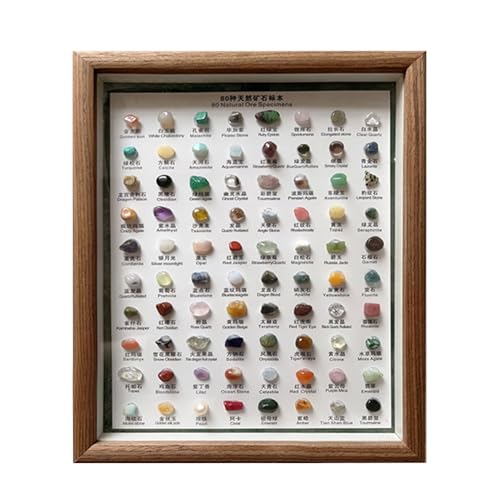 80 Stück natürliche Mineralproben | Edelsteine und Kristalle Set | Rock & Mineral Collection Kit | Rock Collection Rohsteine | Vielseitige Heimdekoration für Heimdekoration und Geschenk 80 Stück natürliche Mineralproben | Edelsteine und Kristalle Set | Rock & Mineral Collection Kit | Rock Collection Rohsteine | Vielseitige Heimdekoration für Heimdekoration und Geschenk von Yhsioaklo