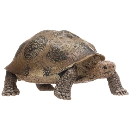 Yhsioaklo Turtle Figure Model | Weltschildkröten -Figur -Lebenszyklus -Modellspielzeug | Realistische Sea Marine Animal Figuren Spielzeug für Kinder Bildung Unterrichtsparty bevorzugt Dekoration von Yhsioaklo