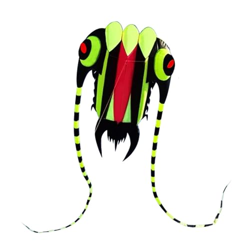 YiNLuax Große Drachen In Oktopus Form Reißfeste Drachen Outdoor Sport Spielqualität Einfach Zu Fliegende Meerestier Camping Drachen von YiNLuax