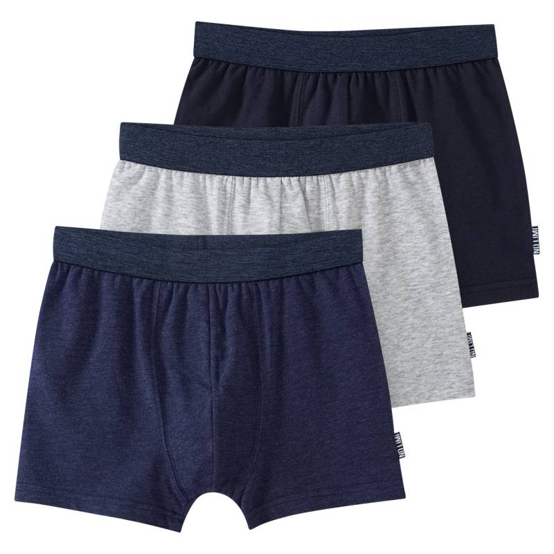 3 Jungen Boxer mit Webbund 3 Jungen Boxer mit Webbund von Yigga