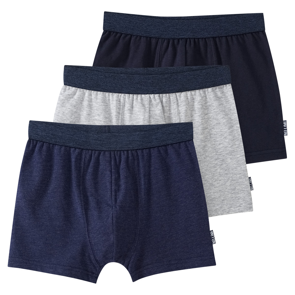 3 Jungen Boxer mit Webbund 3 Jungen Boxer mit Webbund von Yigga