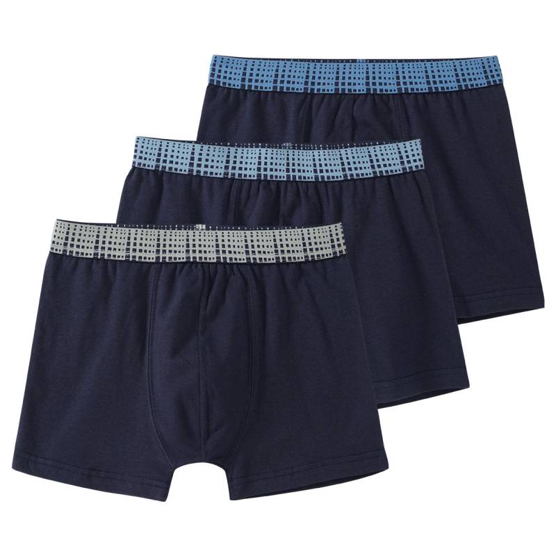 3 Jungen Boxer mit Webbund 3 Jungen Boxer mit Webbund von Yigga