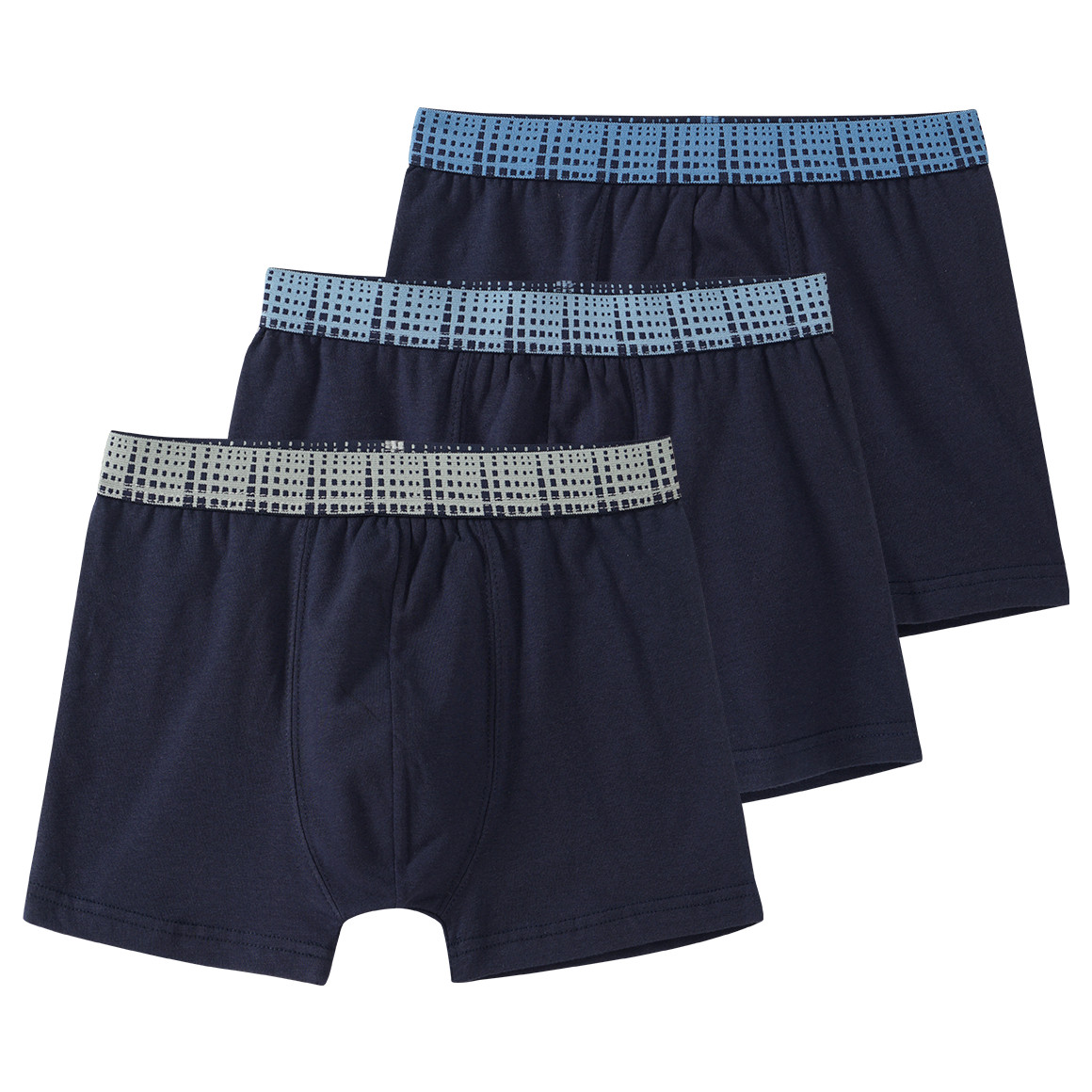 3 Jungen Boxer mit Webbund 3 Jungen Boxer mit Webbund von Yigga