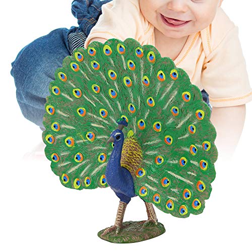 Yinhing Pfauendekor, Vogelfiguren mit Hochsimulierter Pfaustatue -Ornament Peacock Statue für Home Office Dekoration Ornament Spielzeug Spielzeug (M-1434 Pfau) von Yinhing