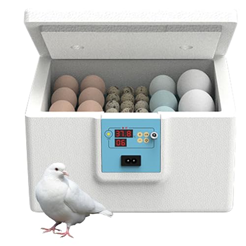 Yiohejy Eierbrutkasten Brutkasten Huhn Inkubationswerkzeug Thermostatische Eierzuchtbox Halbautomatisch für Wissenschaft Klassenzimmer Labor Home Farm Vogel Wachtel Yiohejy Eierbrutkasten Brutkasten Huhn Inkubationswerkzeug Thermostatische Eierzuchtbox Halbautomatisch für Wissenschaft Klassenzimmer Labor Home Farm Vogel Wachtel von Yiohejy