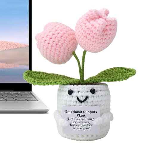 Emotionale Unterstützung Pflanzentopf | Niedliche gestrickte positive Puppe - gestrickte positive emotionale Blumenschnittpuppe, für Männer Frauen von Ynnhik