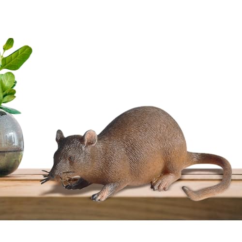 Interaktives Mausspielzeug - gefälschte Streiche Simulation Ratten - geisterhafte Mäuse Spielzeug Halloween Busspielzeug, Halloween Spielzeug Witze, Schreibtischdekoration für Jungen, Mädchen, Kinder Interaktives Mausspielzeug - gefälschte Streiche Simulation Ratten - geisterhafte Mäuse Spielzeug Halloween Busspielzeug, Halloween Spielzeug Witze, Schreibtischdekoration für Jungen, Mädchen, Kinder von Ynnhik