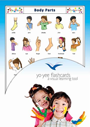 Body Parts Flashcards in English - Körper/Körperteile - Bildkarten in Englisch für den Sprachunterricht von Yo-Yee Flashcards