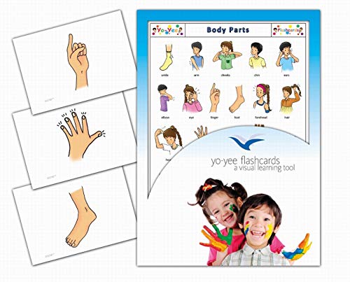 Yo-Yee Flashcards Bildkarten Körper/Körperteile zur Sprachförderung in Englisch - Erweitere spielerisch Grundwortschatz, Satzbau und Grammatik - Inklusive Spielideen und Einsatzmöglichkeiten von Yo-Yee Flashcards