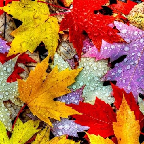 1000 Teile Puzzles für Erwachsene,Herausforderndes Rätsel,Pädagogisches Spiel Puzzlespiele für Die Ganze Familie,Dekoration Geschenke Farbe Ahornblatt von Yoonqun