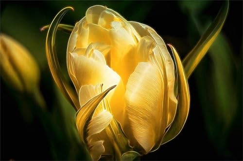 Puzzle 1000 Teile,Puzzles für Erwachsene,Herausforderndes Rätsel,Pädagogisches Spiel Puzzlespiele für Die Ganze Familie,Dekoration Geschenke - Gelbe Blumen von Yoonqun