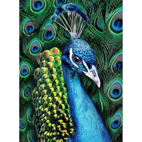 Puzzle 1000 Teile,Puzzles für Erwachsene,Herausforderndes Rätsel,Pädagogisches Spiel Puzzlespiele für Die Ganze Familie,Dekoration Geschenke - Pfau Tier von Yoonqun