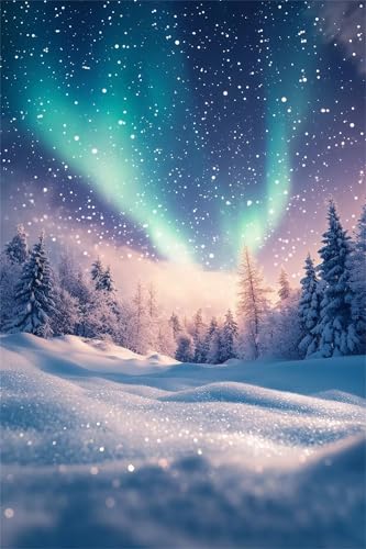 Puzzle 1000 Teile,Puzzles für Erwachsene,Herausforderndes Rätsel,Pädagogisches Spiel Puzzlespiele für Die Ganze Familie,Dekoration Geschenke - Schneebedeckte Aurora von Yoonqun
