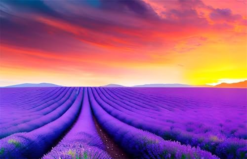 Puzzle 1200 Teile,Puzzles für Erwachsene,Herausforderndes Rätsel,Pädagogisches Spiel Puzzlespiele für Die Ganze Familie,Dekoration Geschenke - Lavendel Sonnenuntergang Landschaft Puzzle 1200 Teile,Puzzles für Erwachsene,Herausforderndes Rätsel,Pädagogisches Spiel Puzzlespiele für Die Ganze Familie,Dekoration Geschenke - Lavendel Sonnenuntergang Landschaft von Yoonqun