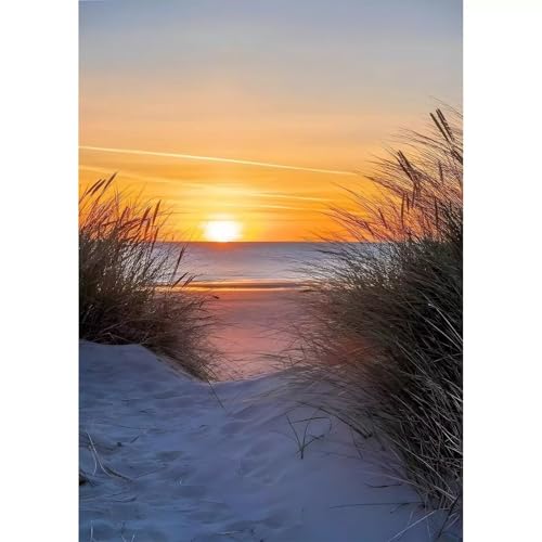 Puzzle 200 Teile,Puzzles für Erwachsene,Herausforderndes Rätsel,Pädagogisches Spiel Puzzlespiele für Die Ganze Familie,Dekoration Geschenke - Sonnenuntergangsstrand Puzzle 200 Teile,Puzzles für Erwachsene,Herausforderndes Rätsel,Pädagogisches Spiel Puzzlespiele für Die Ganze Familie,Dekoration Geschenke - Sonnenuntergangsstrand von Yoonqun
