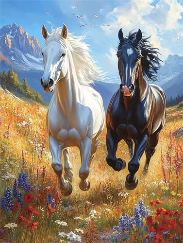 Puzzle 2000 Teile,Puzzles Für Erwachsene,Herausforderndes Rätsel,Pädagogisches Spiel Puzzlespiele für Die Ganze Familie,Dekoration Geschenke - Schwarze weiße Pferde von Yoonqun